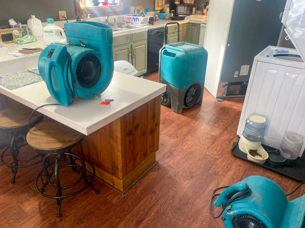 Best Basement water damage restoration  in Covgton, IN