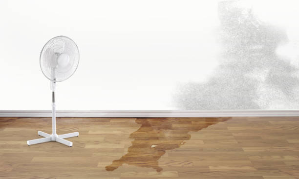 Best Local water damage restoration  in Covgton, IN