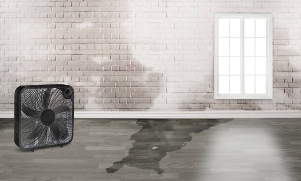  Covgton, IN Water damage restoration Pros