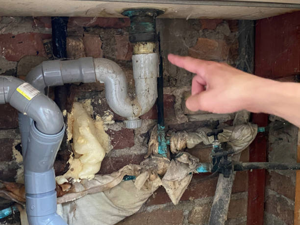 Best Professional water damage repair  in Covgton, IN